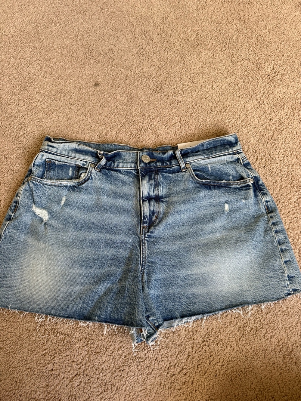 NWT Loft Classic High-Rise Light Blue Denim Shorts 10